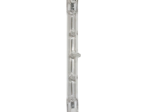 Ampoule Halogène Eco - Capsule G4 - 12 V > Foxlight